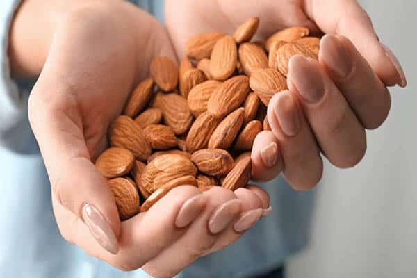 Almond Meal is Good for Digestion