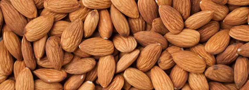 Health Benefits of Almonds