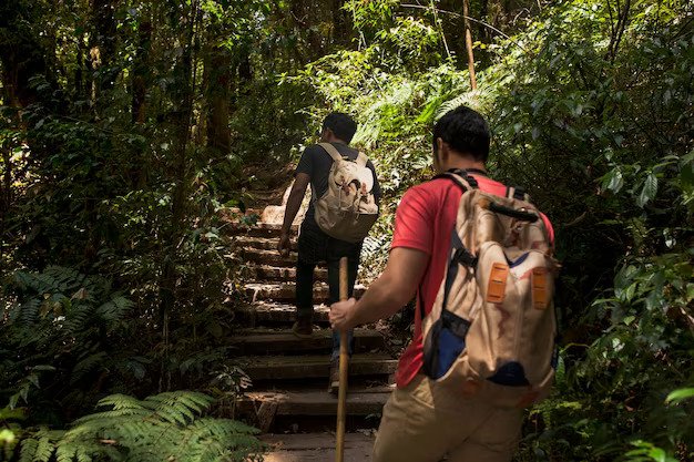 Hiking And Trekking : Discovering Nature's Wonders